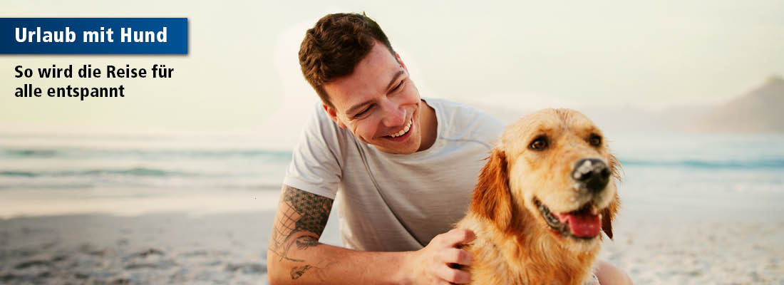 Mann mit einem Hund am Meer zu dem Thema Urlaub mit Hund