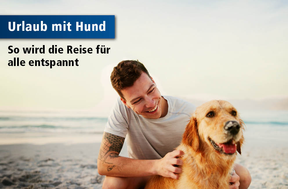 Mann mit einem Hund am Meer zu dem Thema Urlaub mit Hund